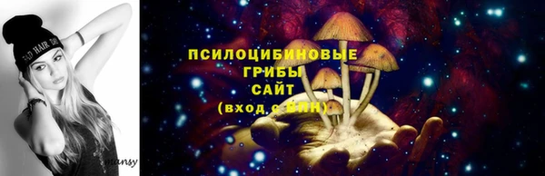 синтетический гашиш Осинники