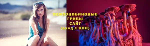 дмт Беломорск