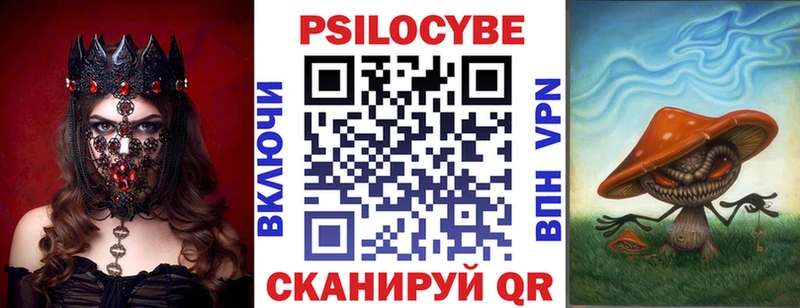 наркота  MEGA как войти  Галлюциногенные грибы Psilocybe  Салаир 